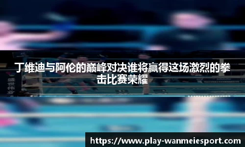 丁维迪与阿伦的巅峰对决谁将赢得这场激烈的拳击比赛荣耀